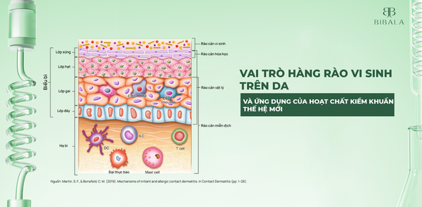 VAI TRÒ HÀNG RÀO VI SINH TRÊN DA VÀ ỨNG DỤNG CỦA HOẠT CHẤT KÌM KHUẨN THẾ HỆ MỚI