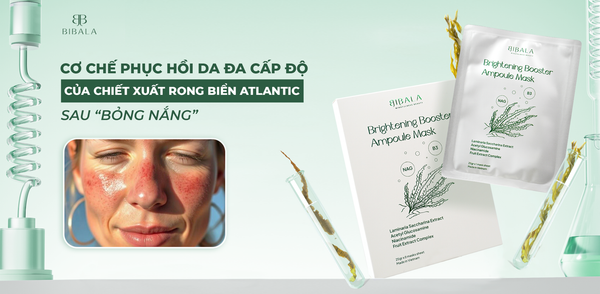CƠ CHẾ PHỤC HỒI DA ĐA CẤP ĐỘ CỦA CHIẾT XUẤT RONG BIỂN ATLANTIC SAU “BỎNG NẮNG”