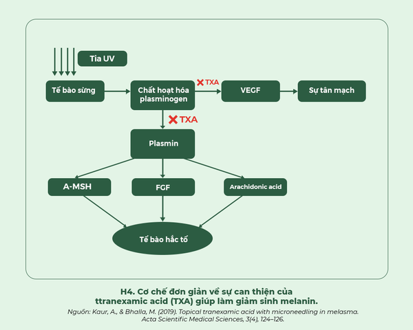Hiệu quả của Tranexamic acid