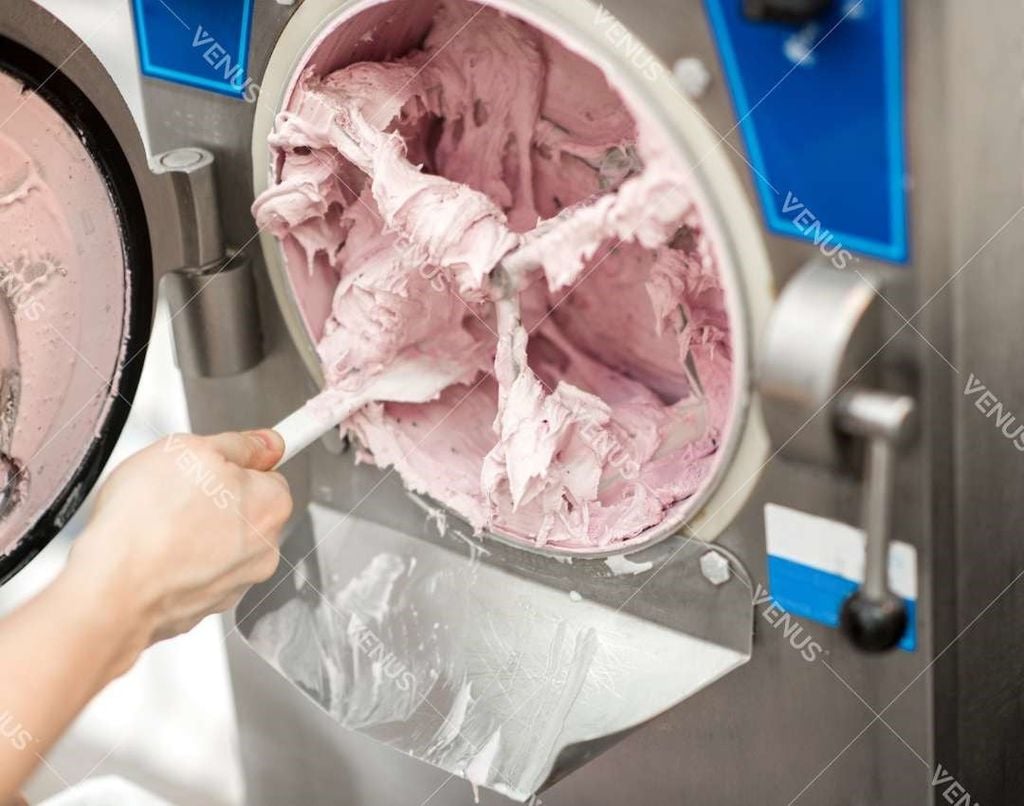 Applications of the hard ice cream machine Venus VHC30