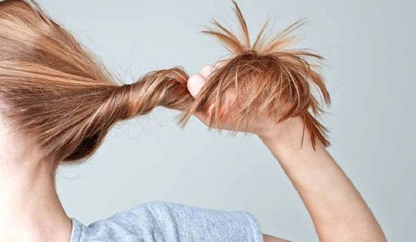 Ngọn tóc là phần nào? Cách chăm sóc tóc khỏe từ gốc đến ngọn