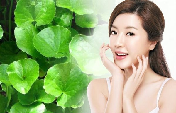 Rau má có tác dụng gì cho da mặt?