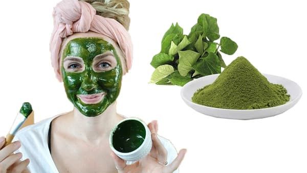 Có nên đắp mặt nạ diếp cá hằng ngày không