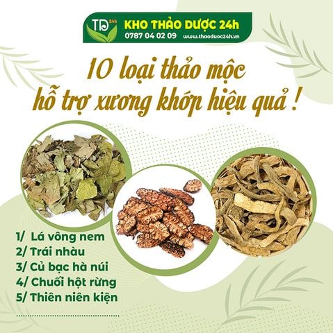 Top 10 các loại thảo mộc hỗ trợ tốt cho các vấn đề về xương khớp, thông tin bạn không nên bỏ lỡ