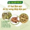 Top 10 các loại thảo mộc hỗ trợ tốt cho các vấn đề về xương khớp, thông tin bạn không nên bỏ lỡ