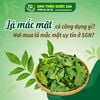 Lá mắc mật có công dụng gì? Nơi mua lá mắc mật uy tín ở HCM?