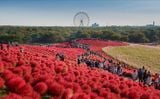 Khám phá cung đường kim cương: Ibaraki - Fukushima -Tochigi