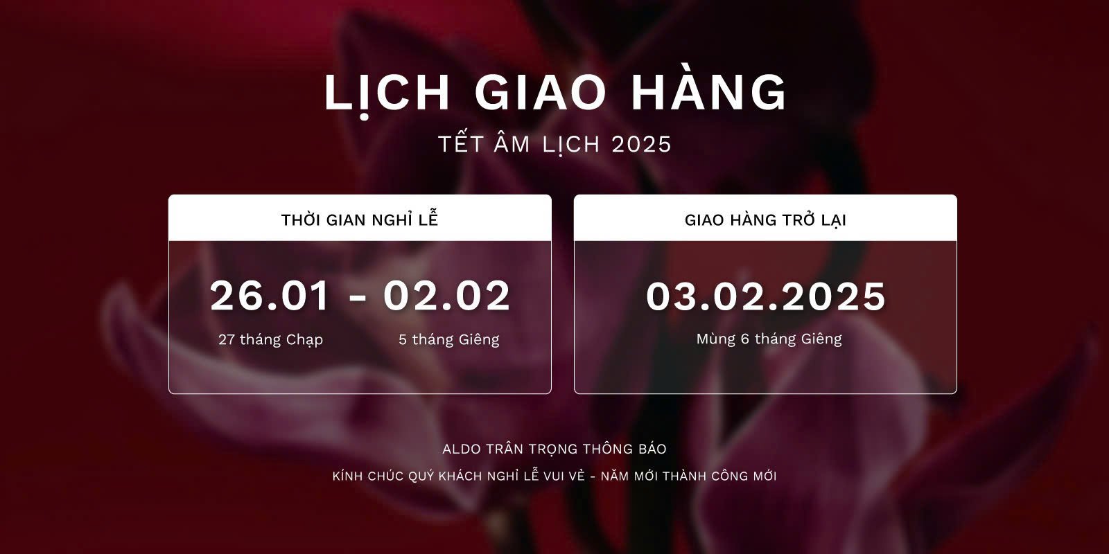 Lịch trình giao hàng dịp Tết Nguyên đán Ất Tỵ 2025 tại ALDO Online