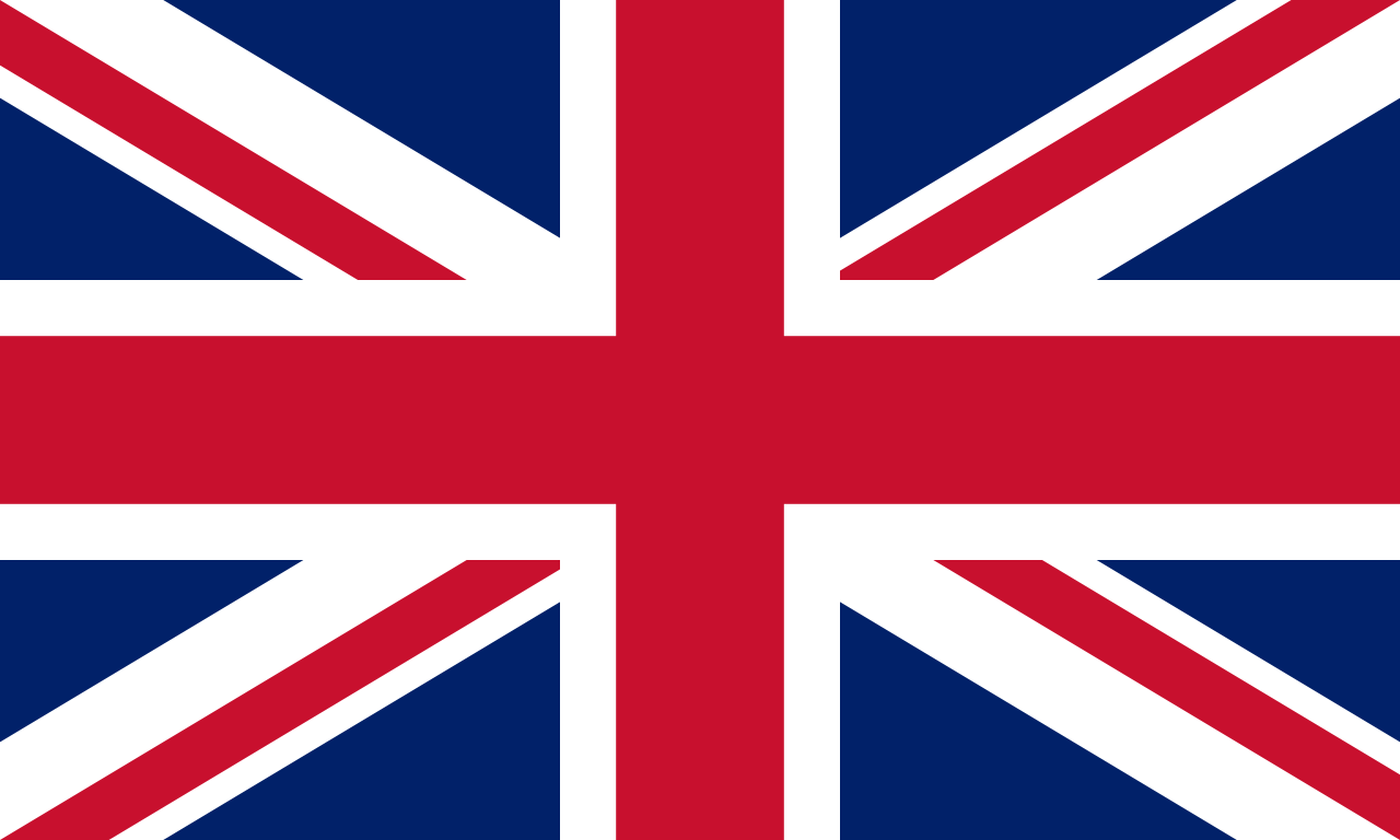 icon flag language