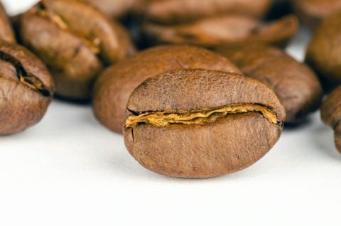 Triết lý làm nên làn sóng cà phê thứ ba