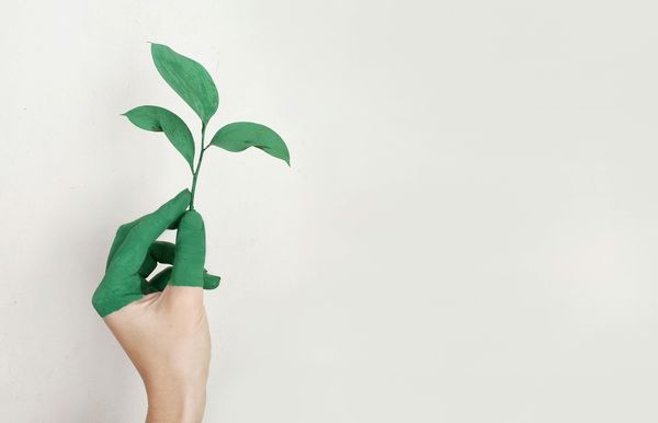 Trồng cây giúp nâng cao ý thức bảo vệ môi trường