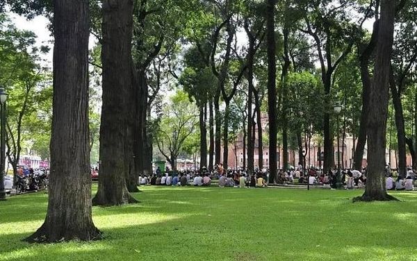 Cà phê bệt tại Công viên 30/4