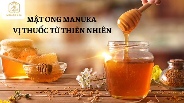 Mật ong Manuka - Vị thuốc quý từ thiên nhiên Australia