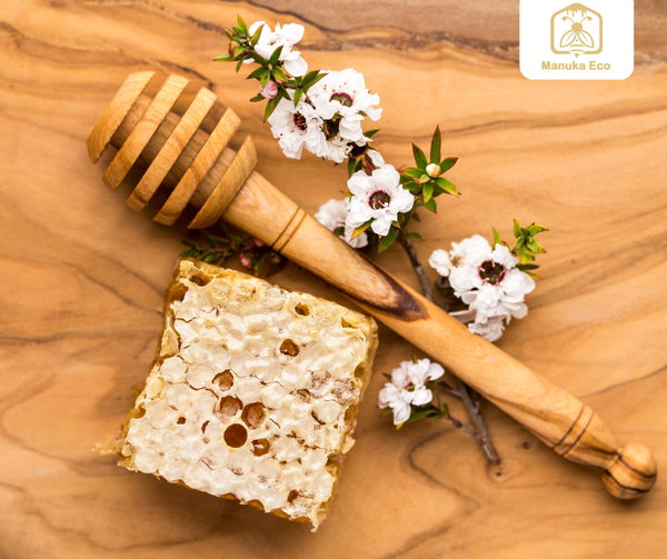 CUỘC CHIẾN MẬT ONG MANUKA GIỮA ÚC VÀ NEW ZEALAND