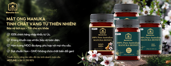 Sử Dụng Mật Ong Manuka Đúng Cách và Hiệu Quả
