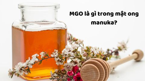 MGO trong mật ong Manuka có nghĩa là gì?