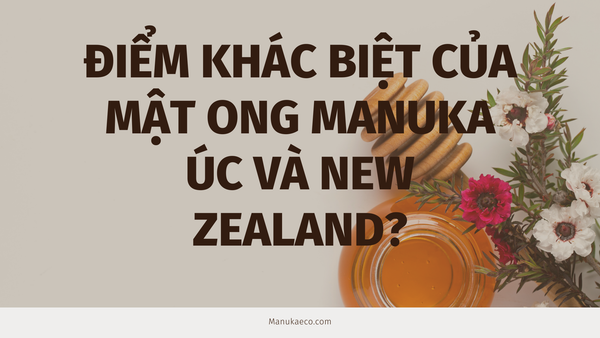 Mật Ong Manuka - Sự Khác Nhau Giữa Mật Ong Từ Xứ Sở Chuột Túi Và Chim Kiwi