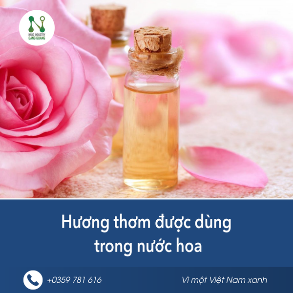Hương trà trong nước hoa - cảm giác thư giãn và cân bằng