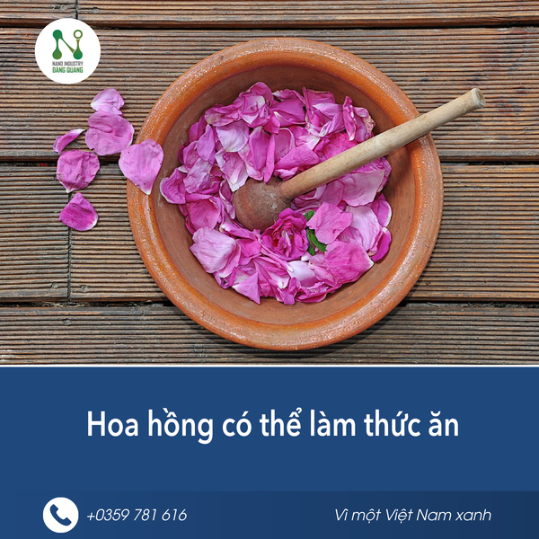 Nhóm hương Tea trong nước hoa - hương trà thanh khiết