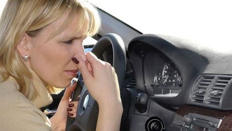 Xe ô tô có mùi xăng sống, nguyên nhân vì sao?