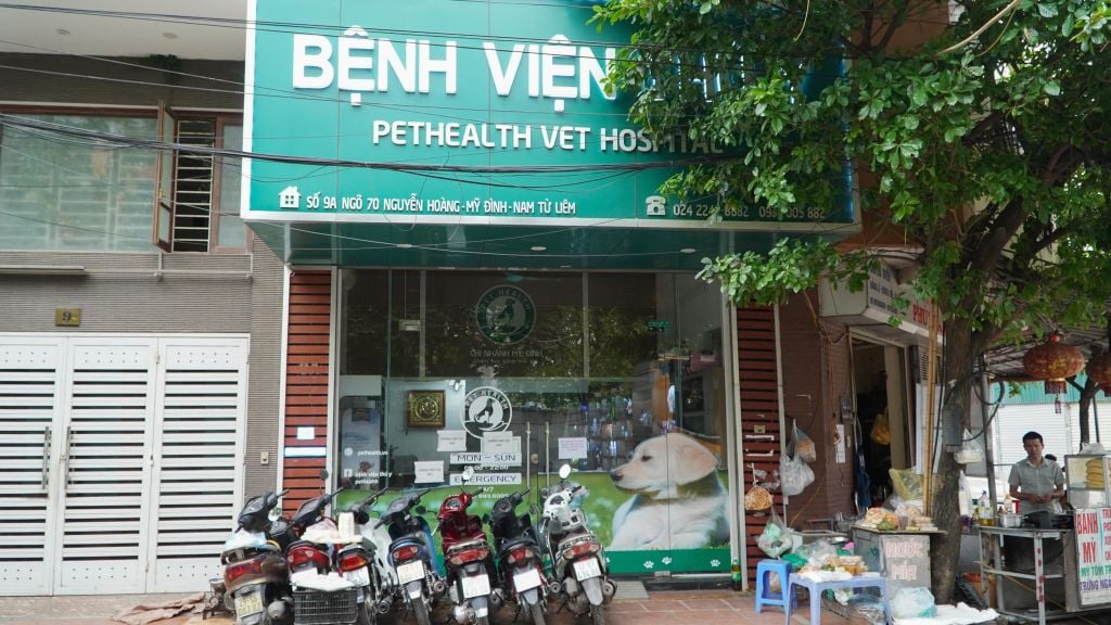 Chi Nhánh Mỹ Đình