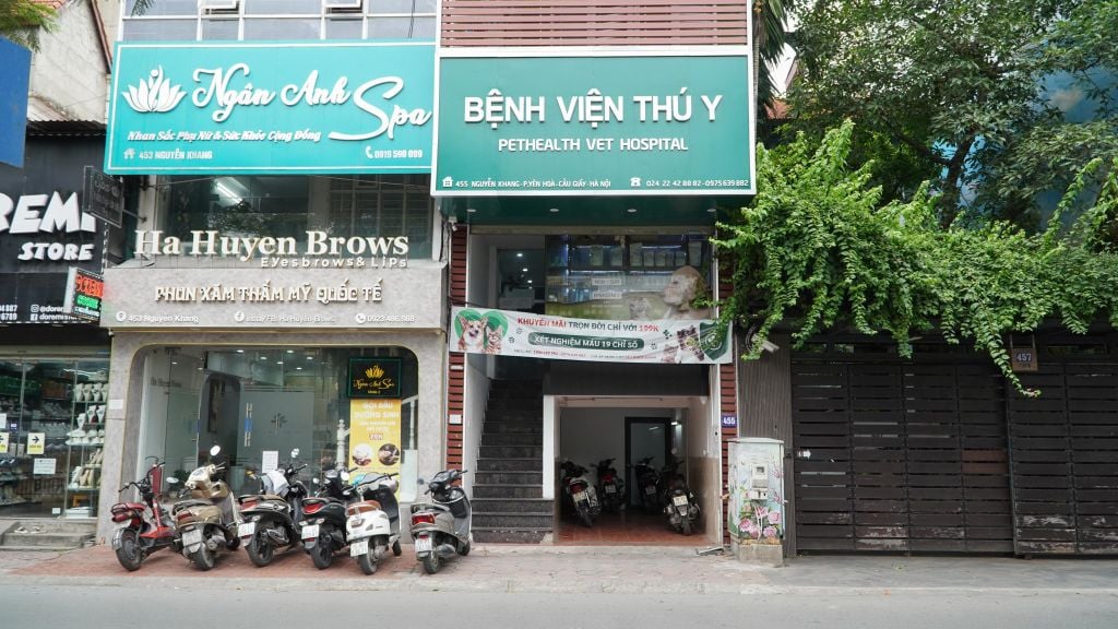 Chi Nhánh Cầu Giấy