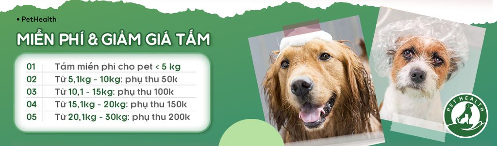 THỨ 5 VÀNG  – MIỄN PHÍ TẮM CHO THÚ CƯNG – PETHEALTH VIỆT TRÌ