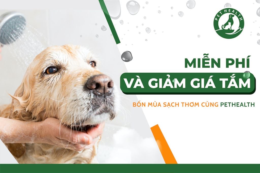 BỐN MÙA SẠCH THƠM CÙNG PETHEALTH - DỊCH VỤ TẮM PET
