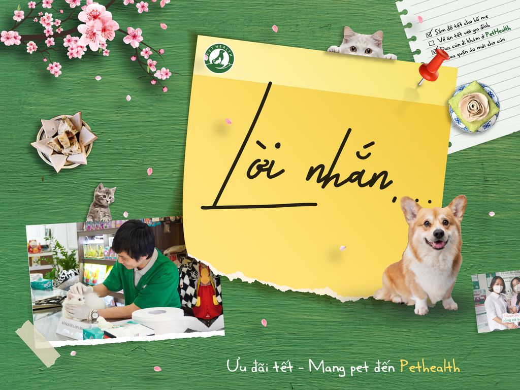 LỜI NHẮN! ĐỂ TẾT CÙA BẠN VÀ BOSS THÊM TRỌN VẸN