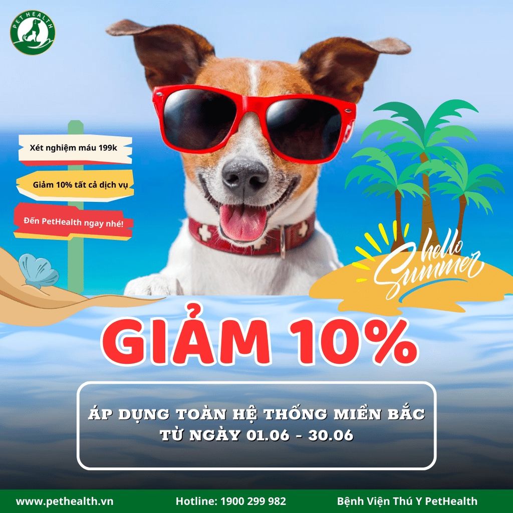 HOT HƠN CẢ MÙA HÈ – PETHEALTH GIẢM GIÁ 10% TẤT CẢ CÁC DỊCH VỤ