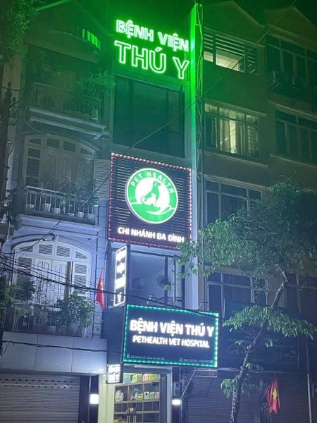 Bệnh Viện Thú Y Pethealth Ba Đình