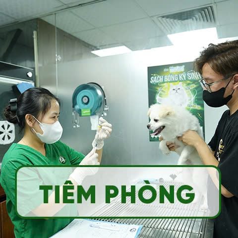 Dịch Vụ Vaccine