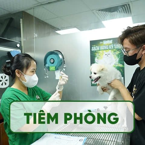 Dịch Vụ Vaccine