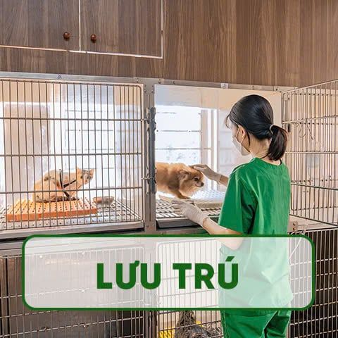 Dịch vụ Lưu trú tại PetHealth