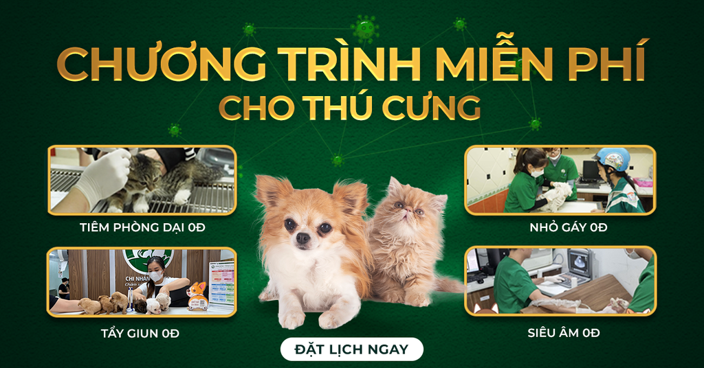 Ưu đãi đặc biệt dành cho thú cưng của bạn!