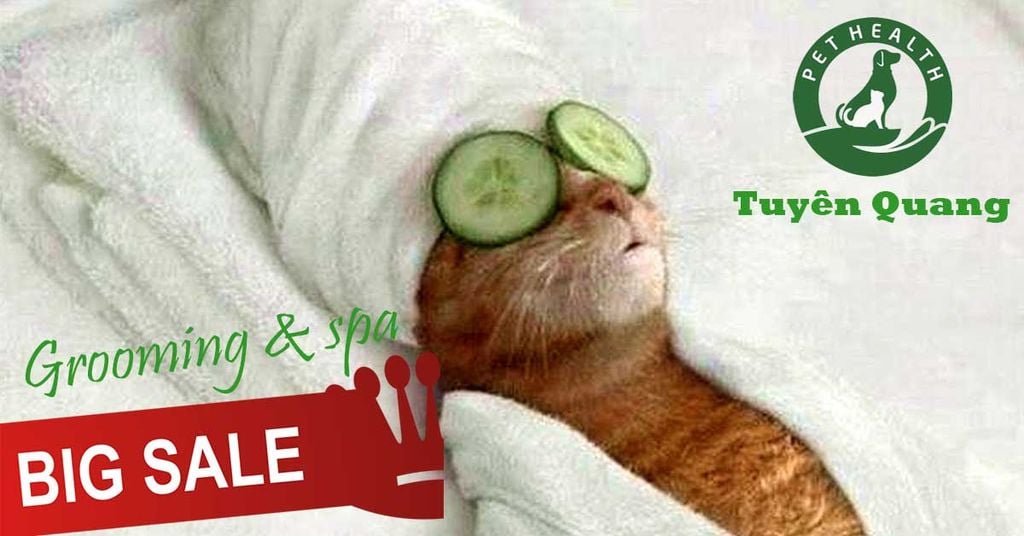 Bệnh viện thú y PetHealth Big Sale Nhân Ngày Phụ Nữ Việt Nam 20-10