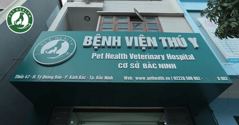 Chi nhánh Bắc Ninh
