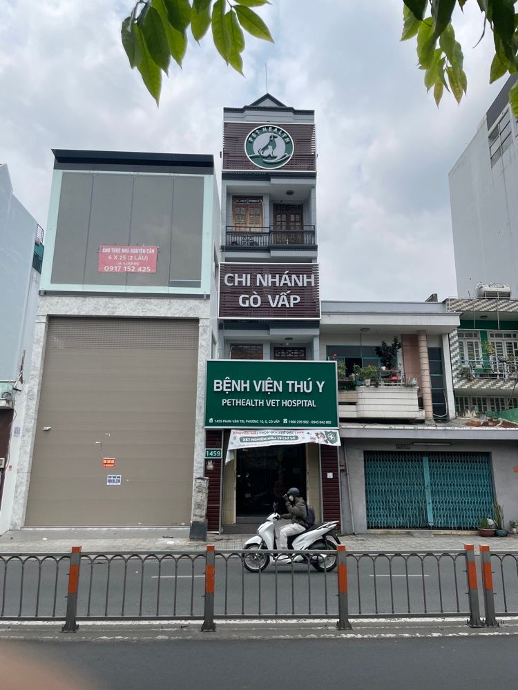 Chi Nhánh Gò Vấp