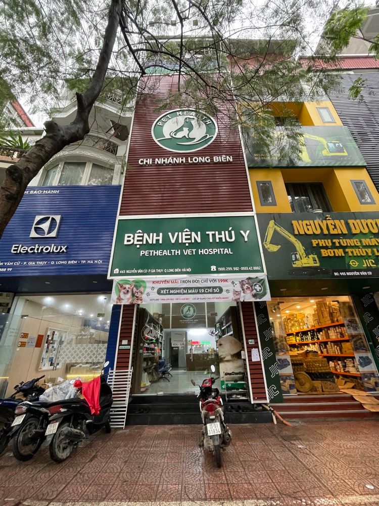 Chi Nhánh Long Biên