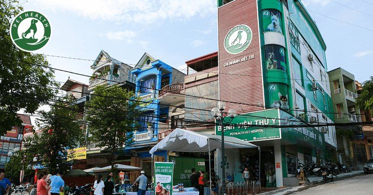 Chi Nhánh Việt Trì