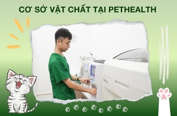 Cơ sở vật chất tại PetHealth và các chương trình đào tạo chuyên sâu