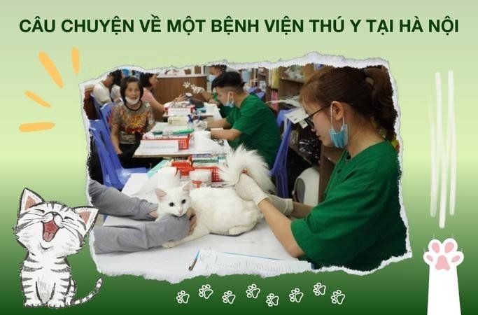 Câu Chuyện Về Một Bệnh Viện Thú Y Hà Nội