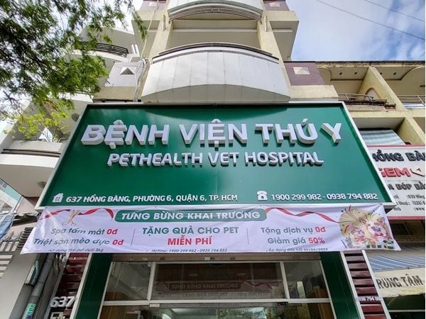 Top 7 Bệnh Viện Thú Y Quận 6 Tin Cậy Nhất