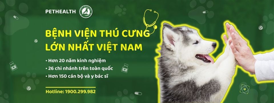 GIỚI THIỆU