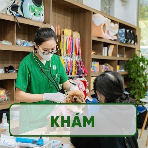 Dịch vụ khám