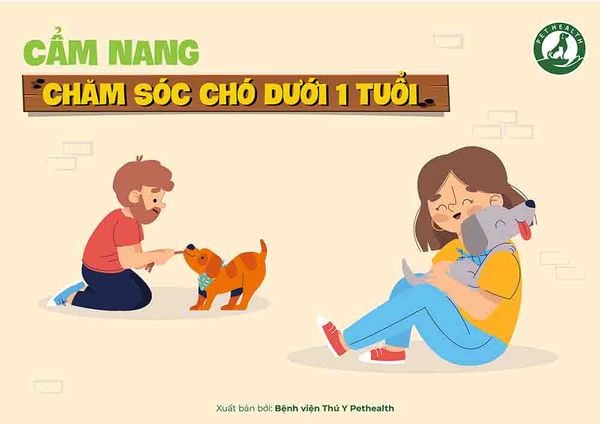 CẨM NANG CHĂM SÓC CHO CHÓ CON (DƯỚI 1 TUỔI)