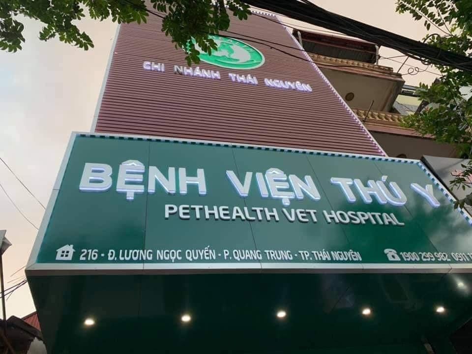 Top 5 Bệnh Viện Thú Y Uy Tín Nhất Ở Hà Nội