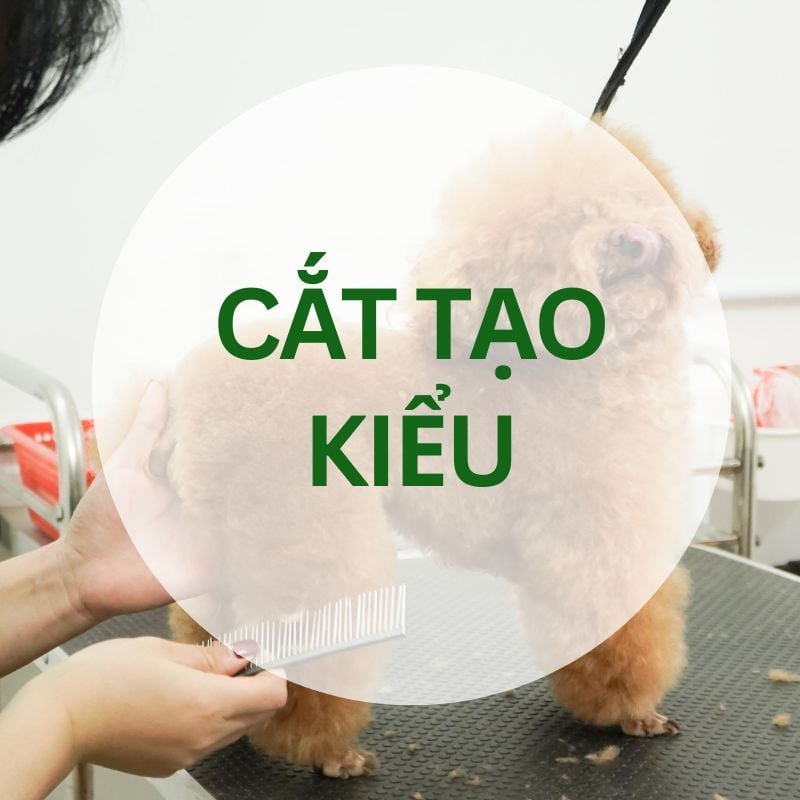 Dịch vụ Cắt tạo kiểu