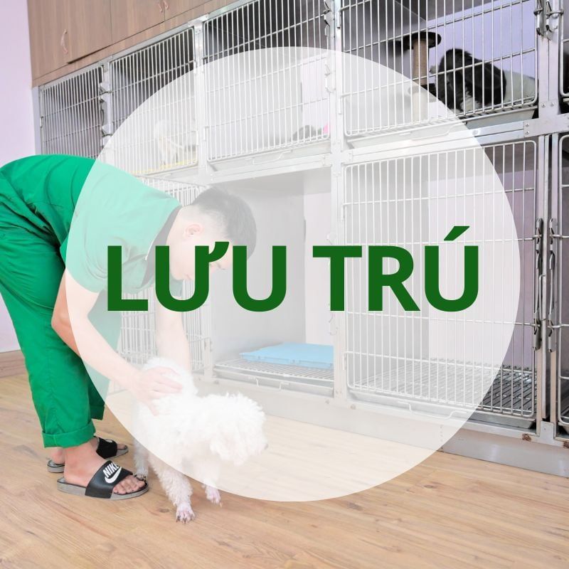 Dịch Vụ Lưu trú & Nội Trú Điều Trị
