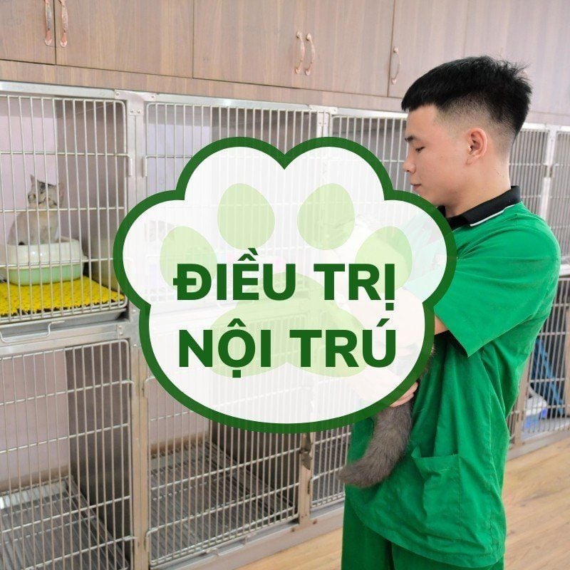 Điều trị nội trú